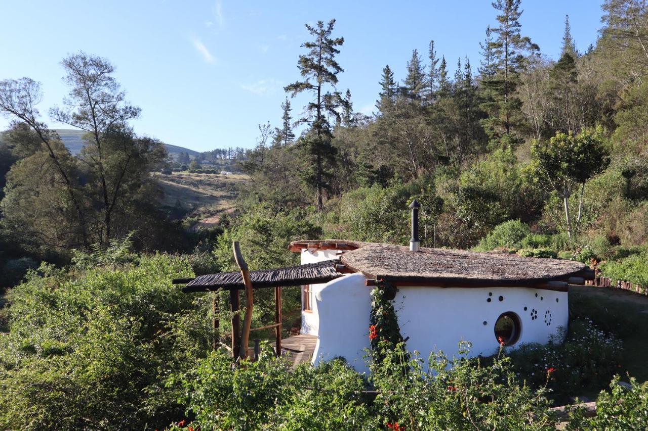 Half Moon Hollow Eco Cottage Mossel Bay Eksteriør bilde