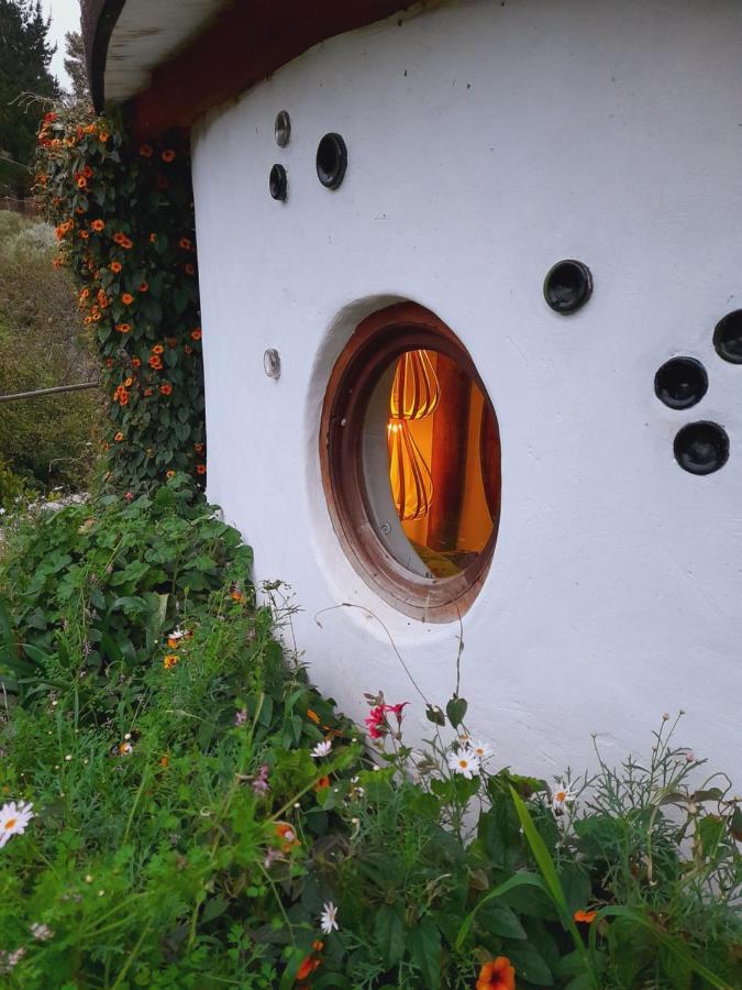 Half Moon Hollow Eco Cottage Mossel Bay Eksteriør bilde