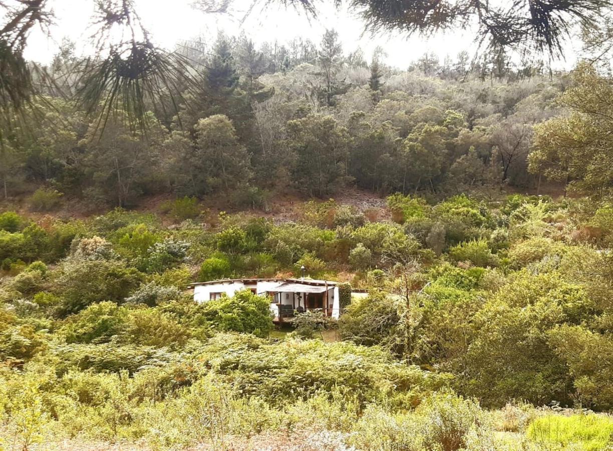 Half Moon Hollow Eco Cottage Mossel Bay Eksteriør bilde